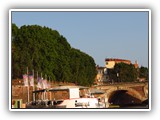 toulouse_2 (187)