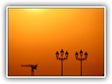toulouse_2 (209)