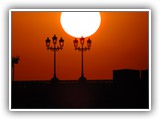 toulouse_2 (220)