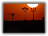 toulouse_2 (221)